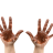 two female hands are soiled in melted dark chocola 2022 07 06 23 15 59 utc groot